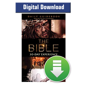 Bible 30-Day Experience Guidebook ebook ebooks