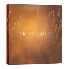 Trust In Jesus 