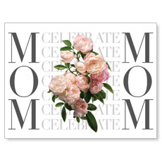 Celebrate Mom Flowers 
