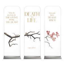 Death To Life Blossom Triptych 