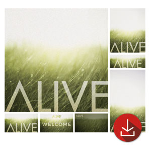 Alive Easter Church Graphic Bundles