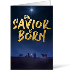 Savior is Born Star 