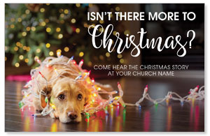 Dog More to Christmas 4/4 ImpactCards