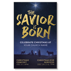 Savior is Born Star 