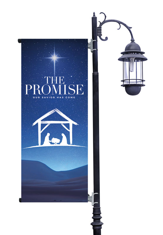 Banners, Christmas, The Promise Manger, 2' x 5'