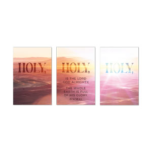 Desert Sunrise Isaiah 6:3 23" x 34.5" Rigid Wall Art