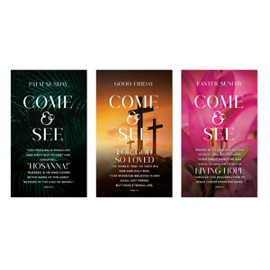Come And See Flowers Triptych 3 x 5 Vinyl Banner