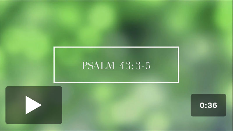 Video Downloads, Christmas, Psalms 43:3-5 Scripture